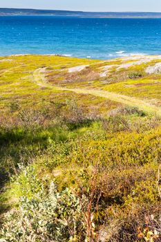 Norway seaside landscape in summer