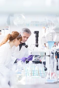 Health care researchers working in life scientific laboratory. Female research scientist and senior male supervisor looking focused at tablet computer screen evaluating and analyzing microscope image.