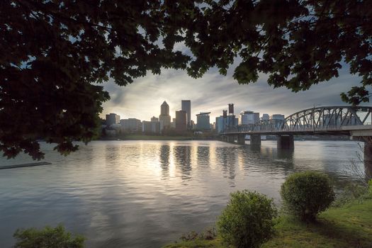 Portland Oregon skyline under the canopy of the trees during sunset