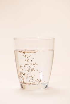 Glass of water with cup of healthy chia seeds and spoon. Text space.