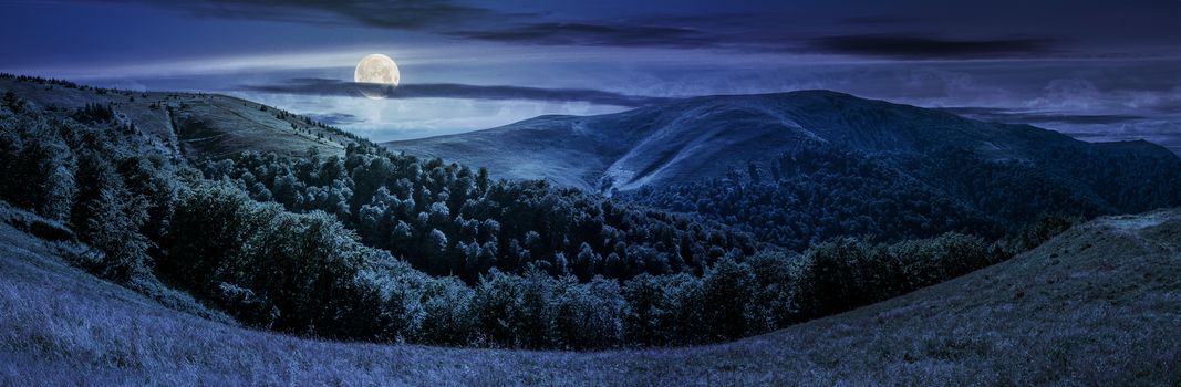 panoramic summer landscape under dark sky with clouds. hillside meadow on Borzhava mountain ridge in Carpathians at night in full moon light