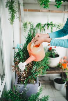 Woman wtering plant in container on balcony garden