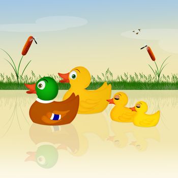 illustration of ducks in the lake