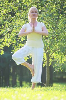 Beautiful mature woman practice yoga in summer park