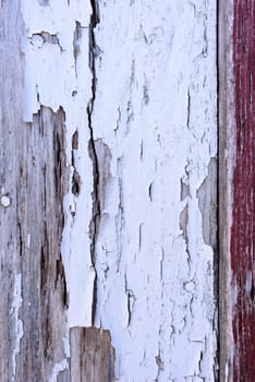 Crackled white paint on wooden wall.