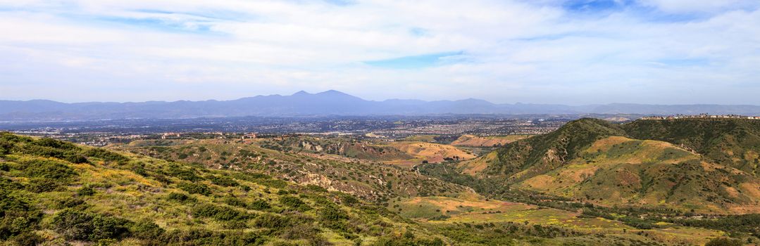 Aliso and Wood Canyons Wilderness Park hiking paths in Laguna Beach, California in spring