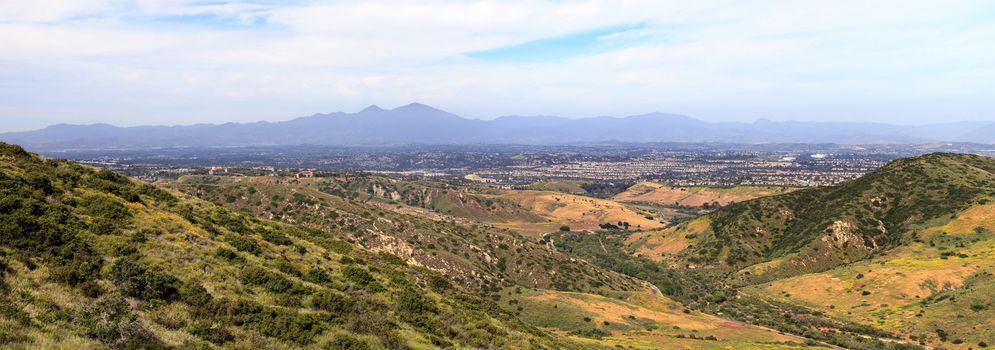 Aliso and Wood Canyons Wilderness Park hiking paths in Laguna Beach, California in spring