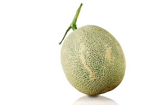 Melon of green on a white background.