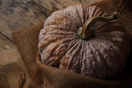 Pumpkin with sack on the old wooden floor.