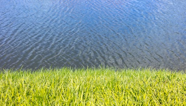 Abstract background, texture of a lake and grass