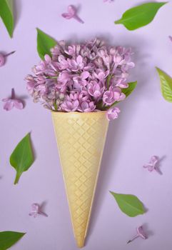 lilac in cone on paper background