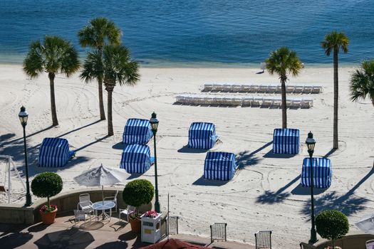 A beach with ocean and palm trees in Florida