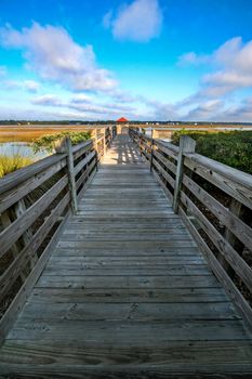 A wooden bridge leading to swamp land