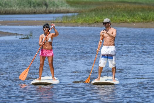 Man and woman stand up paddleboarding on lake. Young couple are doing watersport on lake. Male and female tourists are in swimwear during summer vacation.