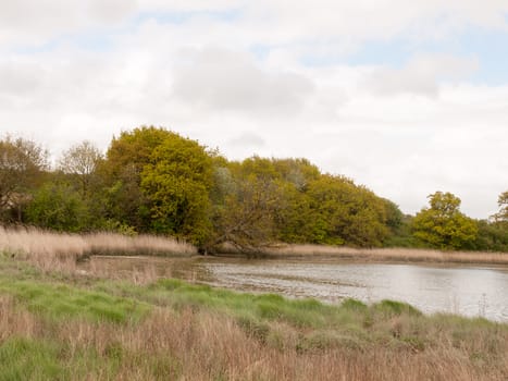 a lake running through the country on a spring day