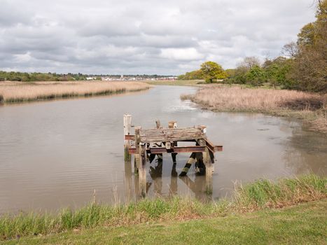 a decayed and old pontoon at the edge of a lake with reeds in the spring