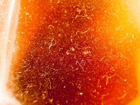 texture of a beer in a bottle from the side close up with plenty of dust and hairs