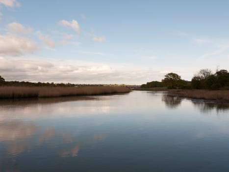 a gorgeous lush lake with reeds outside