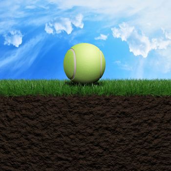 Tenis ball on grass background 3d illustration