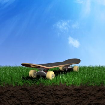 Skate over a grass field 3d illustration