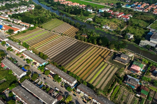 Organic Vegetable Farming, Agriculture in Thailand Aerial Photography