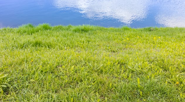 Abstract background, texture of a lake and grass