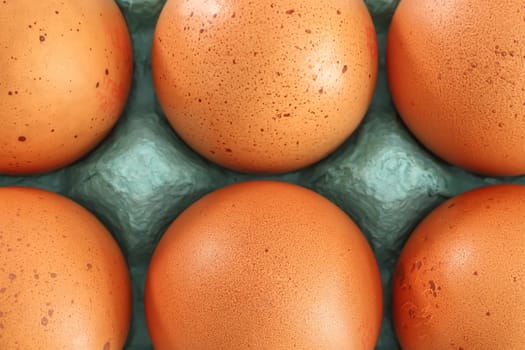 View of opened box of chicken eggs for market place