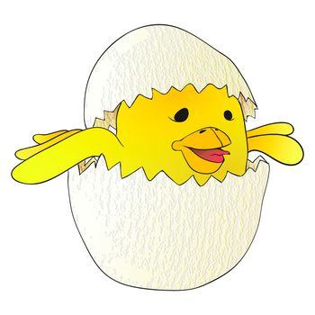 Cartoon yellow newborn chicken in the broken egg shell. vector illustration