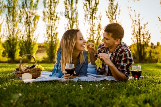 Shot of a happy couple enjoying a day in the park making a picnic