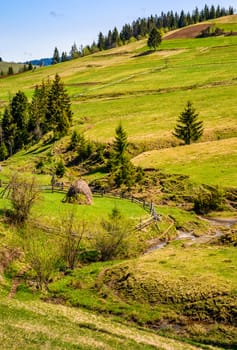 rural area landscape in late springtime. agricultural field on a hill near the forest and mountain stream. beautiful and vivid landscape.
