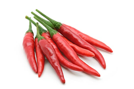 Group of red chilli pepper on a white background