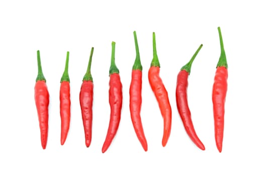 Top view of red chilli pepper on a white background