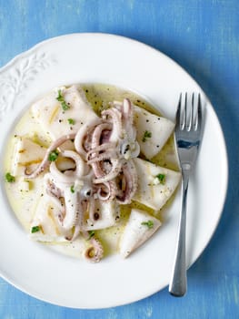 close up of rustic mediterranean grill squid