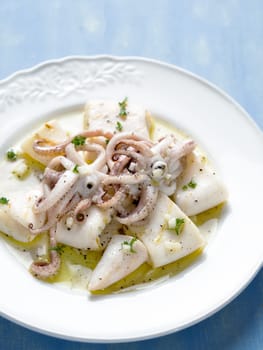 close up of rustic mediterranean grill squid