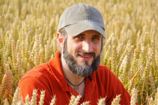 a bearded man in a cup sitting in a wheat field