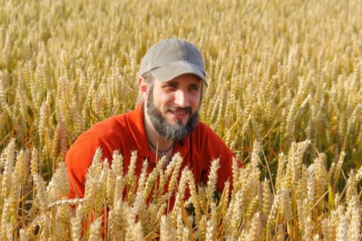 a bearded man in a cup sitting in a wheat field