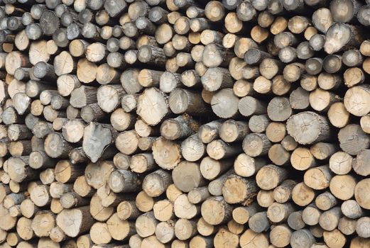 wood stack background logs at the sawmill yard