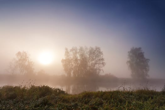 Autumn misty sunrise on the river in the park