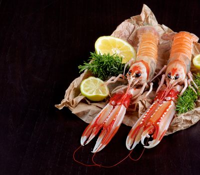 Big Raw Langoustines with Lime, Lemons Slices and Rosemary on Parchment Paper Cross Section on Black Wooden background