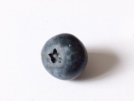 a single blueberry on a white background in studio with small shadow