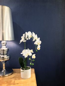 Elegant white orchid and metal lamp decorating a table.