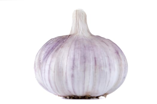 Ripe fresh garlic on white isolated background