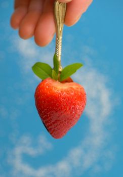 A heart shaped strawberry in spoon and sugar on background