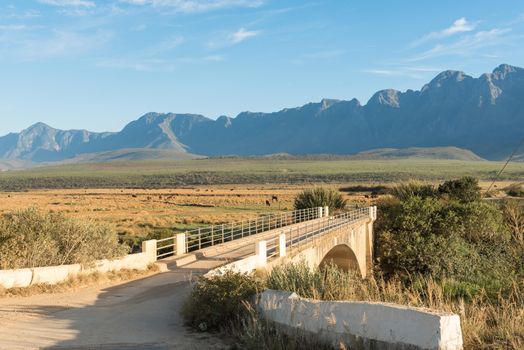 Early morning at a bridge over the Riviersonderend (river without end) on the road between Riviersonderend town and Greyton in the Western Cape Province