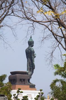 The old buddha statue stand on lotus in Thailand.