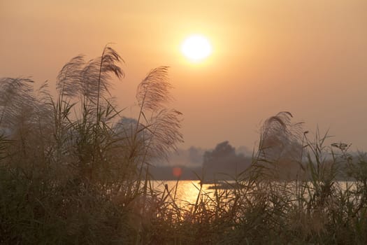 Meadow with the beautiful sunset on vacation.