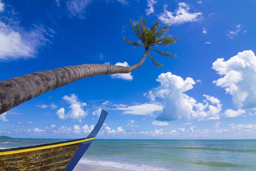 Coconut Palm tree with a ship on the white sandy beach