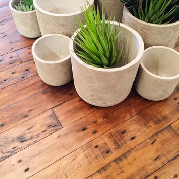 Decorative succulent plants in concrete pots on old wooden table.