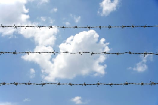 barbed fence with blue sky and white cloud in bright day