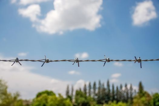 barbed fence with blue sky with cloud and top tree